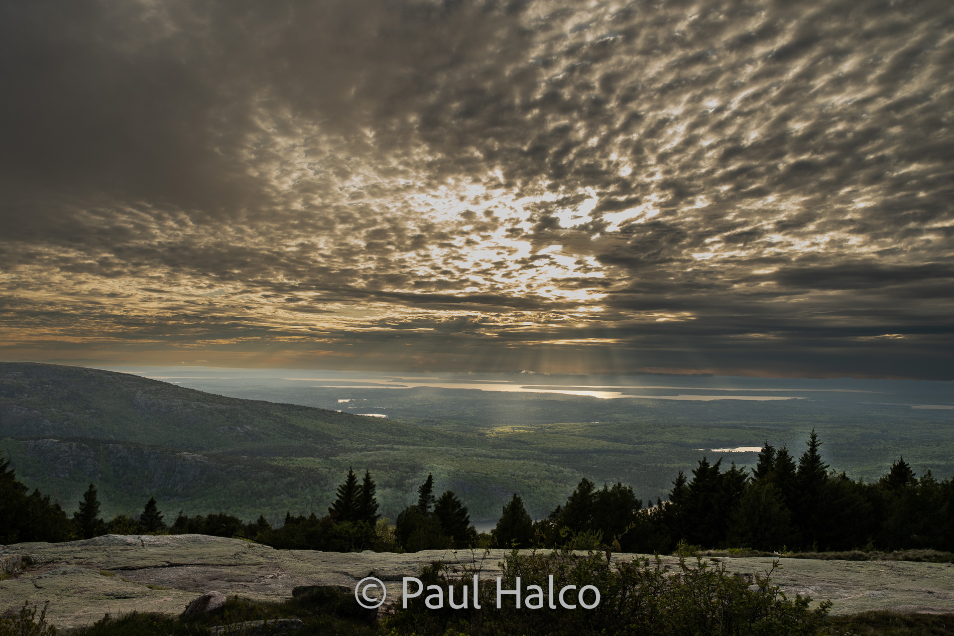 Paul Halco-Acadia NP-33